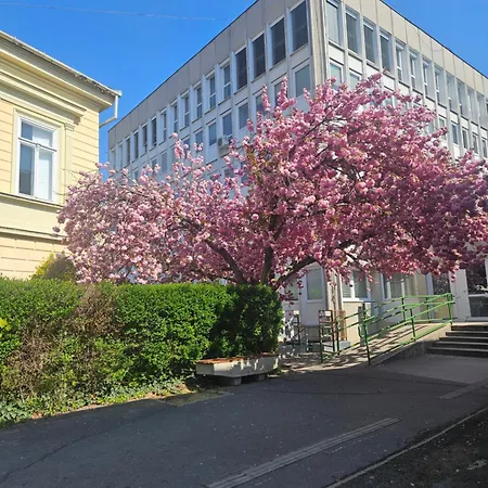 Hellowine Ii Apartment
