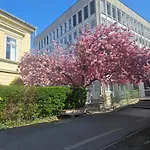 Hellowine Ii Lejlighed